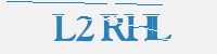 보안문자